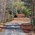 7902 Cat Trail - Photo 7