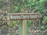 89 Weeping Cherry Forest Road - Photo 3