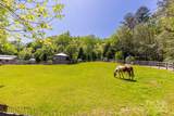 89 Weeping Cherry Forest Road - Photo 6