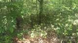 Lot 2F Seminole Path - Photo 3