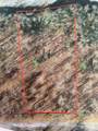 LOT 92 Mountain Summit Road - Photo 3