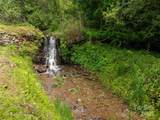 000 Tearshirt Lane - Photo 24