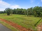 246 Elderberry Lane - Photo 4