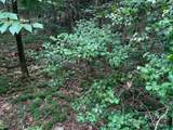 7.67 AC. Holbert Cove Road - Photo 1