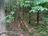 7.67 AC. Holbert Cove Road - Photo 3