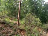 7.67 AC. Holbert Cove Road - Photo 9