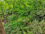 00 Locust Grove Road - Photo 6