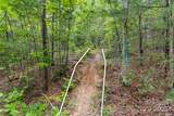 TBD Whitener Road - Photo 13