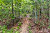TBD Whitener Road - Photo 14