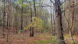 0000 Indian Creek Road - Photo 5