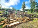 6908 Shade Tree Lane - Photo 4