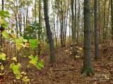 1.62 acres Lot 204B Johns Ridge Parkway - Photo 4