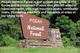 1.62 acres Lot 204B Johns Ridge Parkway - Photo 38