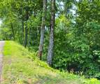 Lot 123 Bills Mountain Trail - Photo 10