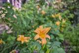 56 Faraway Drive - Photo 2