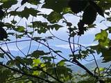 5282 Nc 181 Street - Photo 3
