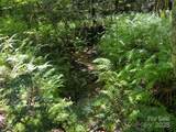 5282 Nc 181 Street - Photo 29