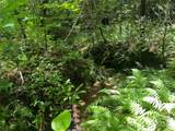 5282 Nc 181 Street - Photo 30