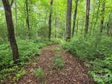 TBD Cedar Lane - Photo 3