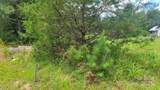 000 Riverview Road - Photo 4