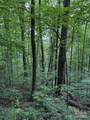 TBD Upward Way - Photo 15