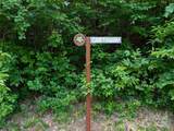 15 Casta Way - Photo 25