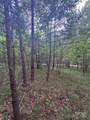 0 Cross Creek Drive - Photo 9