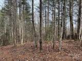 3.16 acres Lot 77, 1 Round Mountain Parkway - Photo 8