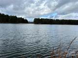 290 Shoal Creek Road - Photo 8