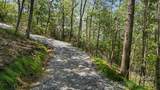 Lt 15A Von Trapp Lane - Photo 13
