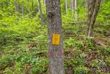 Lt 15A Von Trapp Lane - Photo 42