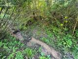 2034 Champion Mt Pleasant Road - Photo 7