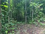 0 Cope Creek Road - Photo 6