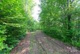 1200 Tobacco Branch Road - Photo 11