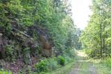 1200 Tobacco Branch Road - Photo 13