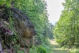 1200 Tobacco Branch Road - Photo 14