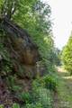 1200 Tobacco Branch Road - Photo 15