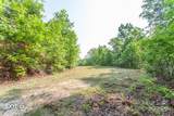 1200 Tobacco Branch Road - Photo 19