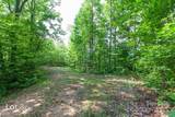 1200 Tobacco Branch Road - Photo 31
