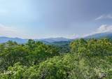 1200 Tobacco Branch Road - Photo 41