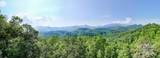 1200 Tobacco Branch Road - Photo 44