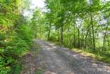 1200 Tobacco Branch Road - Photo 9
