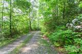 1200 Tobacco Branch Road - Photo 10