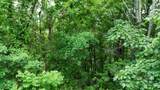 00 Liner Cove Road - Photo 6
