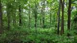 00 Liner Cove Road - Photo 4