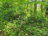 00 Liner Cove Road - Photo 6