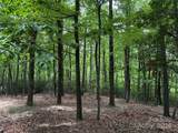 TBD Casey Mountain Road - Photo 11