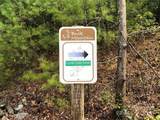 TBD Casey Mountain Road - Photo 31