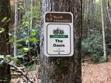 TBD Casey Mountain Road - Photo 35