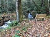 TBD Casey Mountain Road - Photo 37